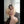 EVA + Options Sex Dolls