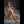 Fabiana + Options Sex Dolls