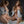 Fabiana + Options Sex Dolls