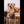 Felice Realistic Sex Doll Sex Dolls