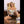 Felice Realistic Sex Doll Sex Dolls