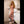 Georgina + Options Sex Dolls