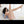 Jennie Luxury Doll Sex Dolls