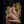 Jess Sex Doll Sex Dolls