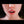 Kaia + Options Sex Dolls