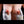 Kaia + Options Sex Dolls
