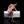 Kaia + Options Sex Dolls