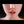 Kaia + Options Sex Dolls