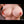 Kaia + Options Sex Dolls