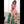 Kana Realistic Sex Doll Sex Dolls
