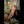 Kati Realistic Sex Doll Sex Dolls