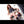 Kay + Options Sex Dolls