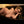 KENDALL + Options Sex Dolls