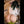 Kendra + Options Sex Dolls