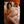 Kendra + Options Sex Dolls