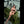 KRISTIN + Options Sex Dolls