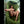 KRISTIN + Options Sex Dolls
