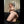KYA + Options (Copy) Sex Dolls
