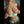 LETIZIA + Options Sex Dolls