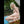 Liliana Realistic Sex Doll Sex Dolls