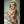 LILLIAN + Options Sex Dolls