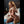 Lincy + Options Sex Dolls