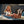 Lincy + Options Sex Dolls