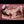 Liona Realistic Sex Doll Sex Dolls