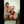 LORELEI + Options Sex Dolls