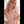 Lou Sexy Sex Doll Sex Dolls
