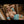 Margot + Options Sex Dolls