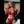 MARY + Options Sex Dolls