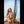 Marzia Luxury Doll Sex Dolls