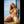 Marzia Luxury Doll Sex Dolls