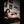 MEGAN + Options Sex Dolls
