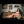 MEGAN + Options Sex Dolls