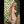 Myla Luxury Doll Sex Dolls