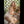 Myla Luxury Doll Sex Dolls