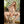 Myla Luxury Doll Sex Dolls