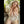 Myla Luxury Doll Sex Dolls