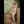 Myla Luxury Doll Sex Dolls
