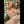 Myla Luxury Doll Sex Dolls