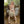 Myla Luxury Doll Sex Dolls