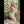 Myla Luxury Doll Sex Dolls