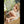 Myla Luxury Doll Sex Dolls