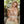 Myla Luxury Doll Sex Dolls