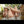 Myla Luxury Doll Sex Dolls