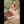 Myla Luxury Doll Sex Dolls