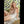Myla Luxury Doll Sex Dolls