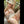 Myla Luxury Doll Sex Dolls